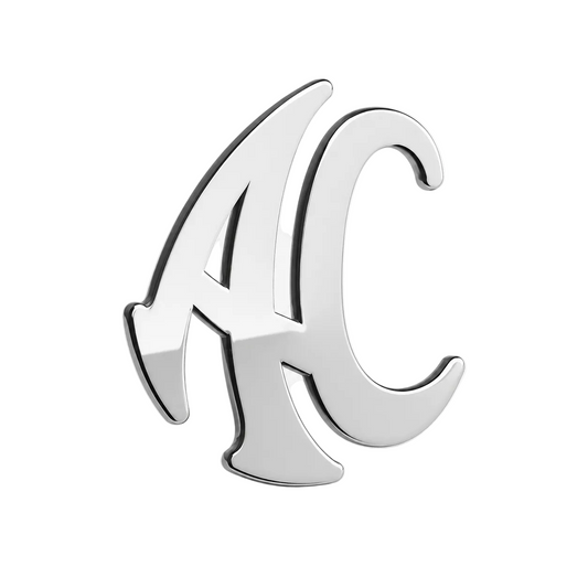 PIN LOGO SILVER