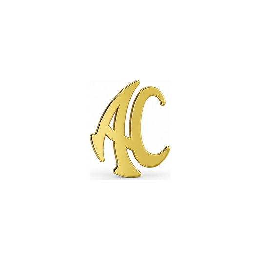 AC LAPEL PIN